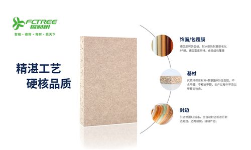 以環保板材為載體奔跑于定制賽道，福財樹主動擁抱家居發展新未來